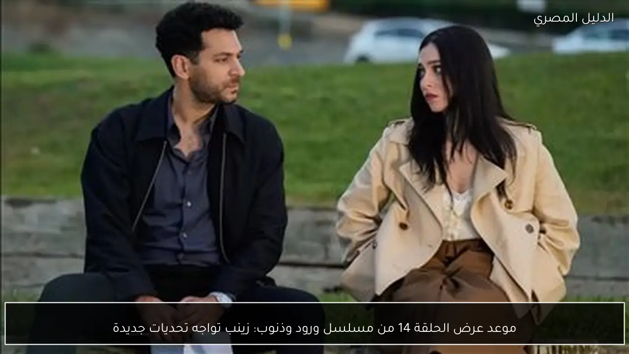 موعد عرض الحلقة 14 من مسلسل ورود وذنوب: زينب تواجه تحديات جديدة