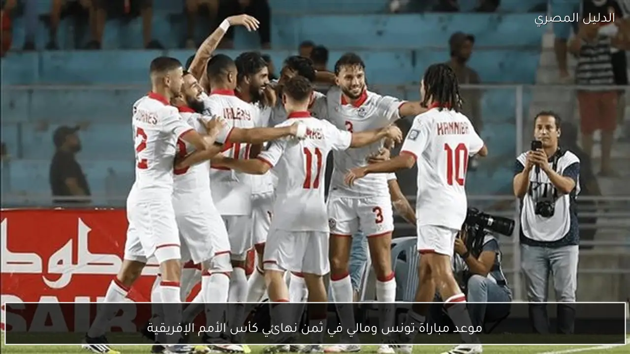 موعد مباراة تونس ومالي في ثمن نهائي كأس الأمم الإفريقية