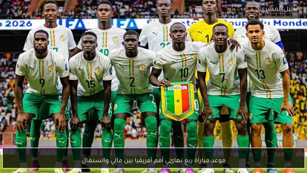 موعد مباراة ربع نهائي أمم أفريقيا بين مالي والسنغال