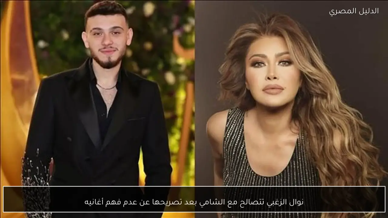 نوال الزغبي تتصالح مع الشامي بعد تصريحها عن عدم فهم أغانيه