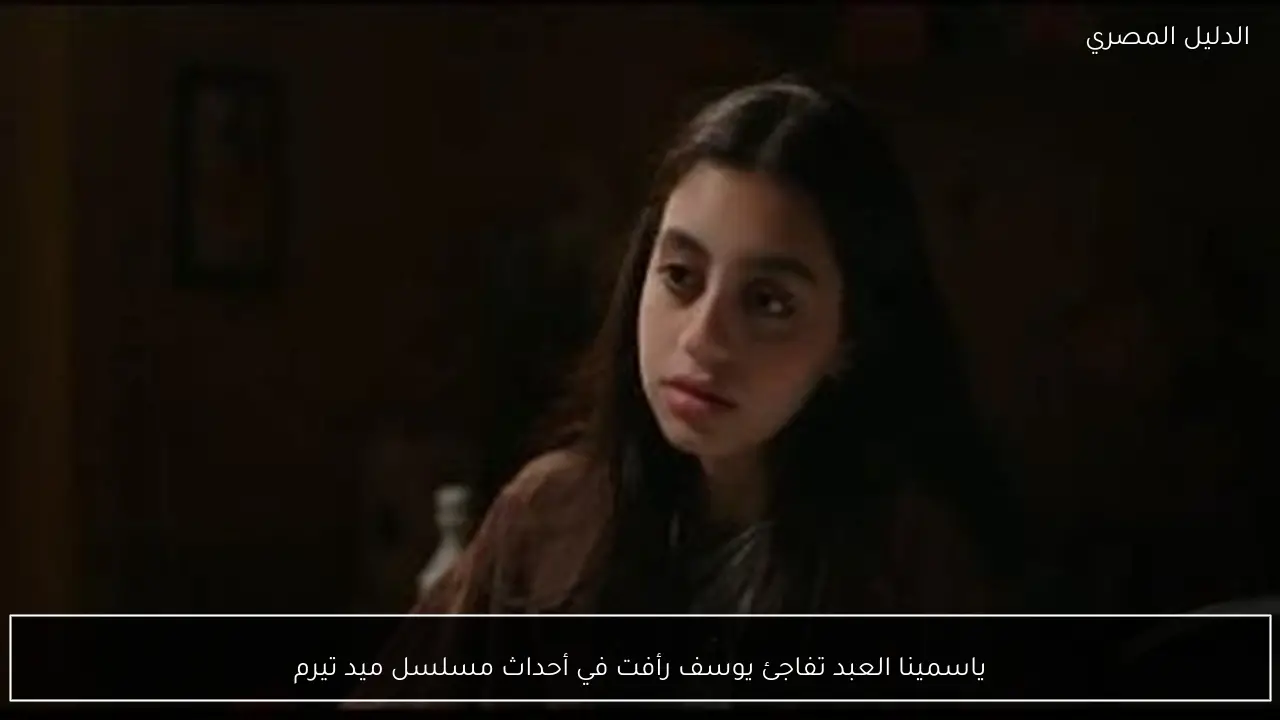 ياسمينا العبد تفاجئ يوسف رأفت في أحداث مسلسل ميد تيرم